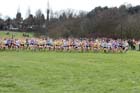 Under-20 Women start, McCain Inter Counties Cross Country, Cofton Park, Birmingham.